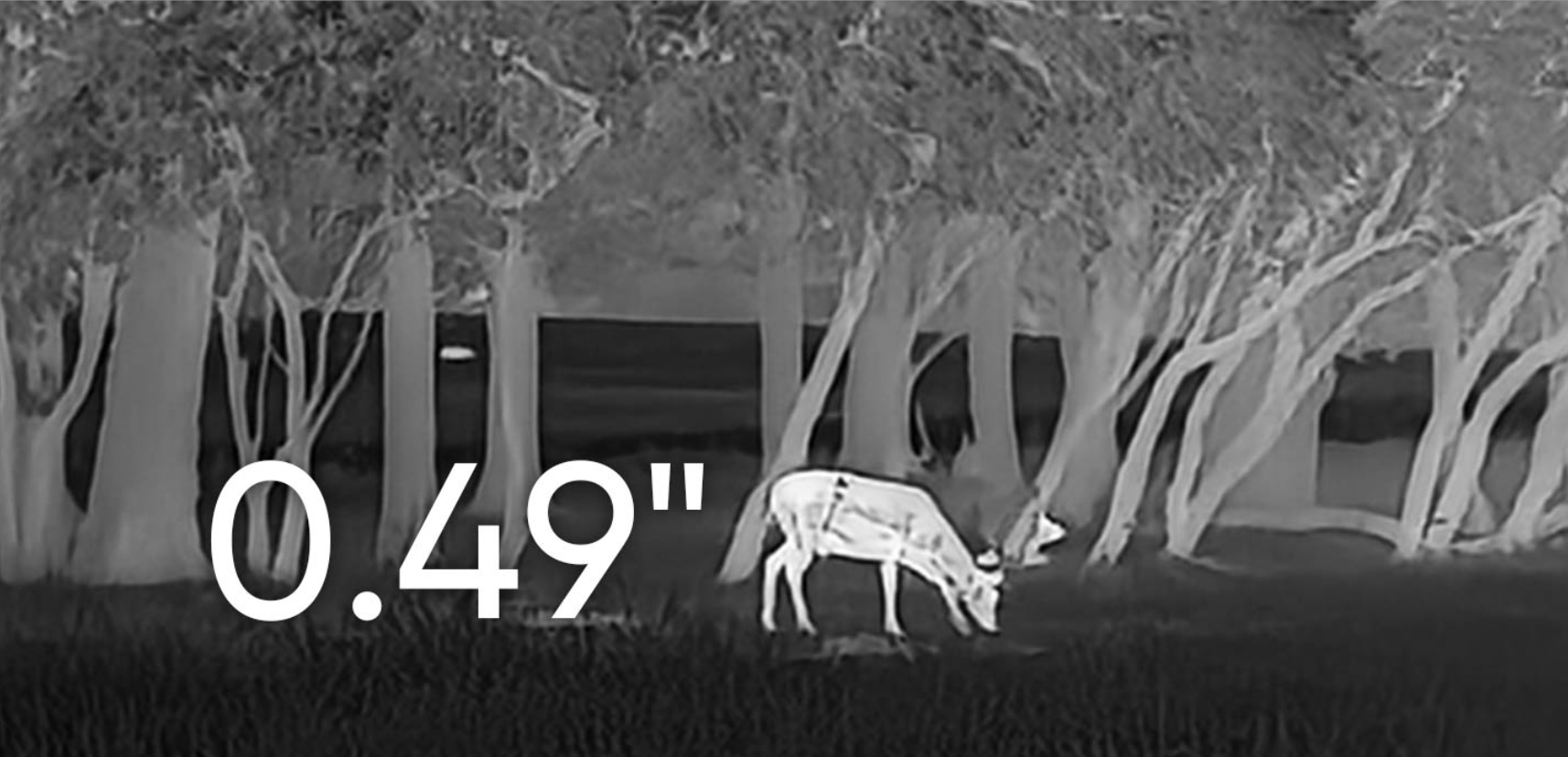 Wyświetlacz AMOLED 0,49 cala w HIKMICRO LYNX 3.0