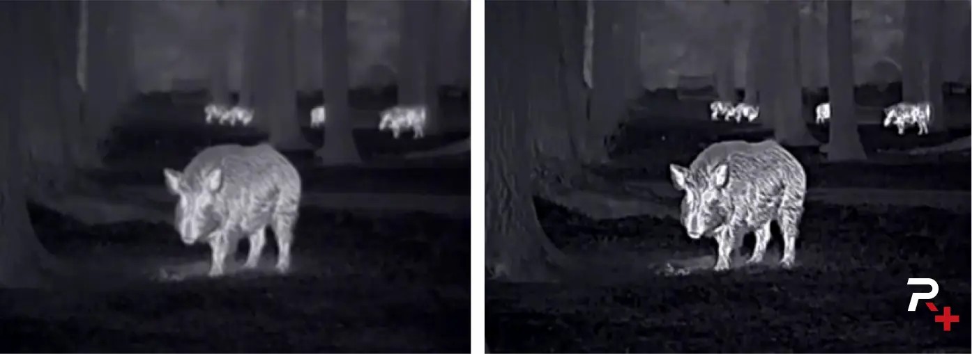 PLACEHOLDER - NOCPIX LUMI L35 - Reality+