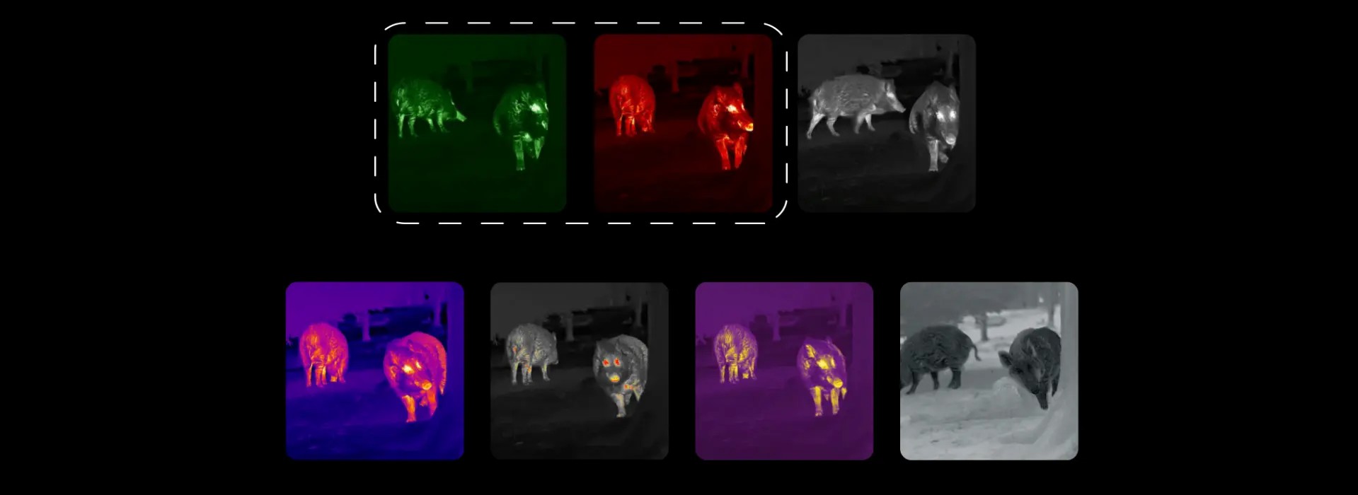 PLACEHOLDER - NOCPIX LUMI L35 - palety obrazu