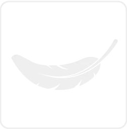 Ikona - lekka konstrukcja