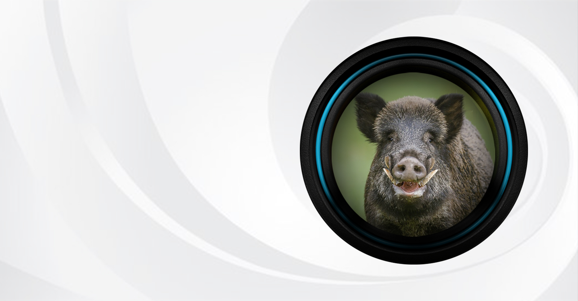 Placeholder grafiki: Sensor 4K