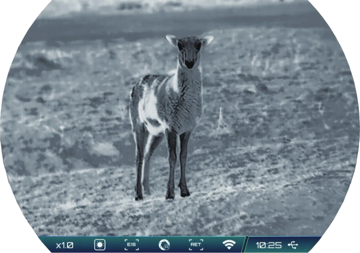 RIX TITAN T3 - wyświetlacz OLED